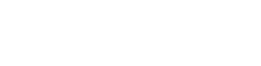 Emil Frey France