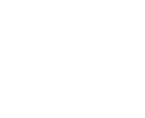Viking Bateaux